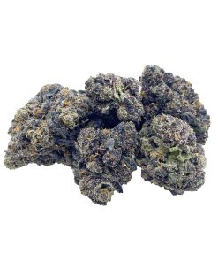 Jet Coal (Hybrid)
