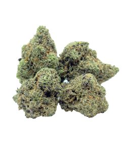Mellowz (Hybrid)