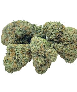 Temptations(Hybrid)